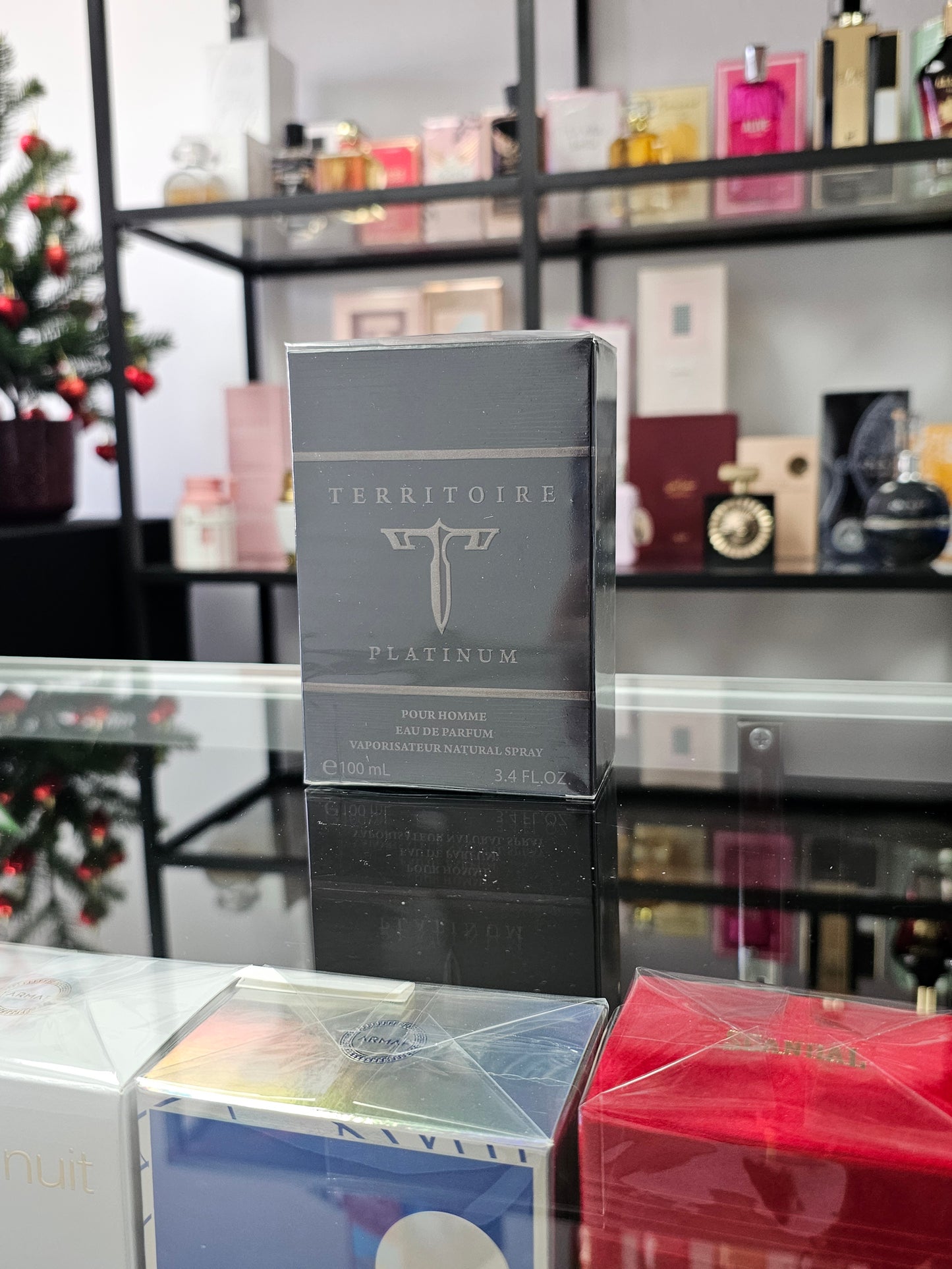 Territoire Platinum Pour Homme EDP by YZY 3.4oz